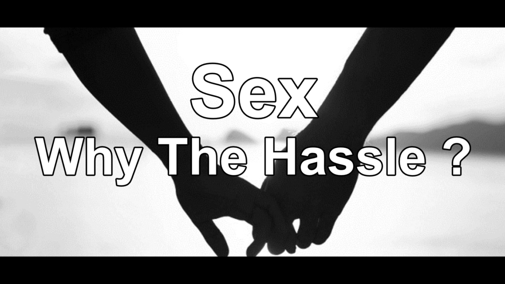 Sex – Why the hassle?