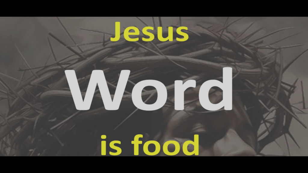 Learning From A Flawed Vessel